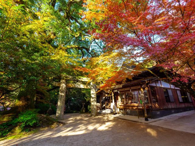 写真：仁比山神社