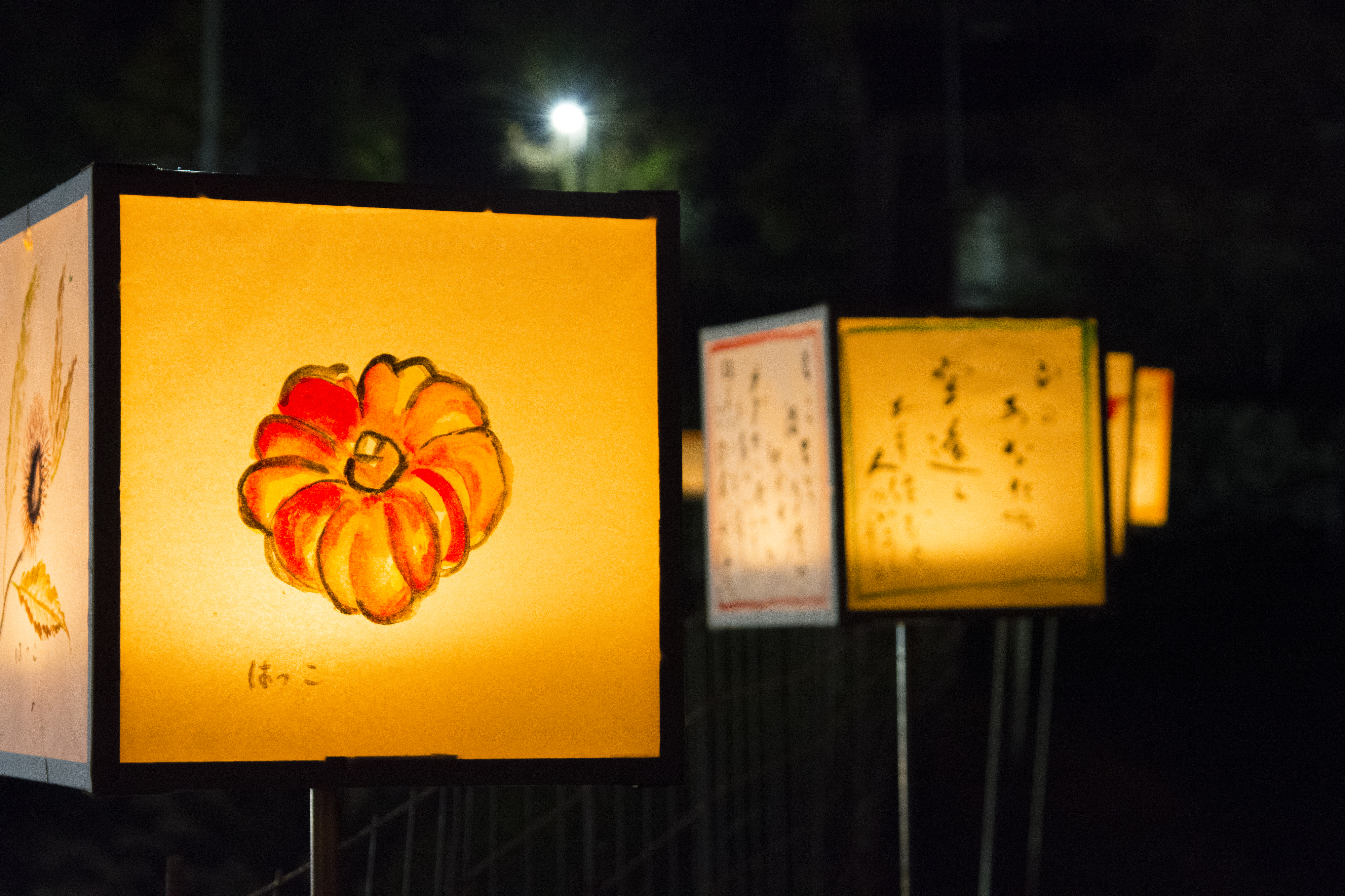 画像:河内大山祇神社の写真