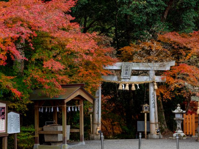 写真：武雄神社