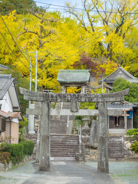 写真：綾部八幡神社