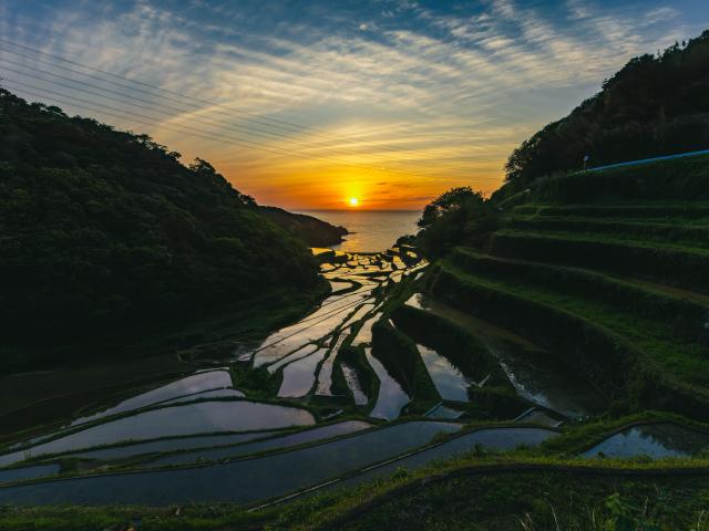 写真：浜野浦の棚田