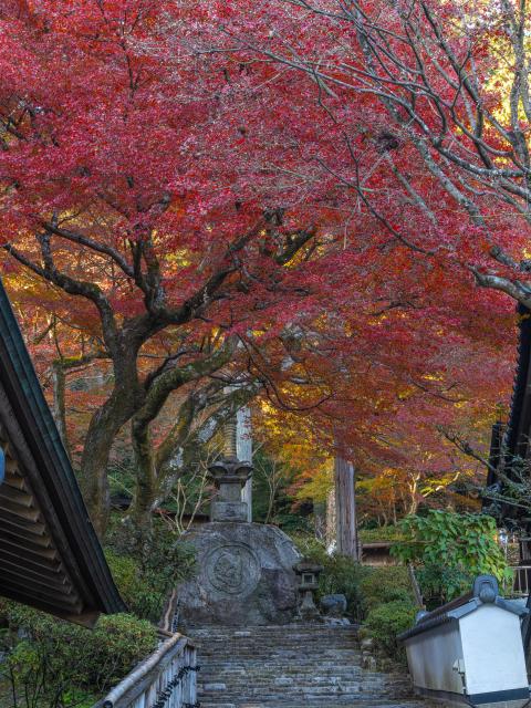 写真：大興善寺