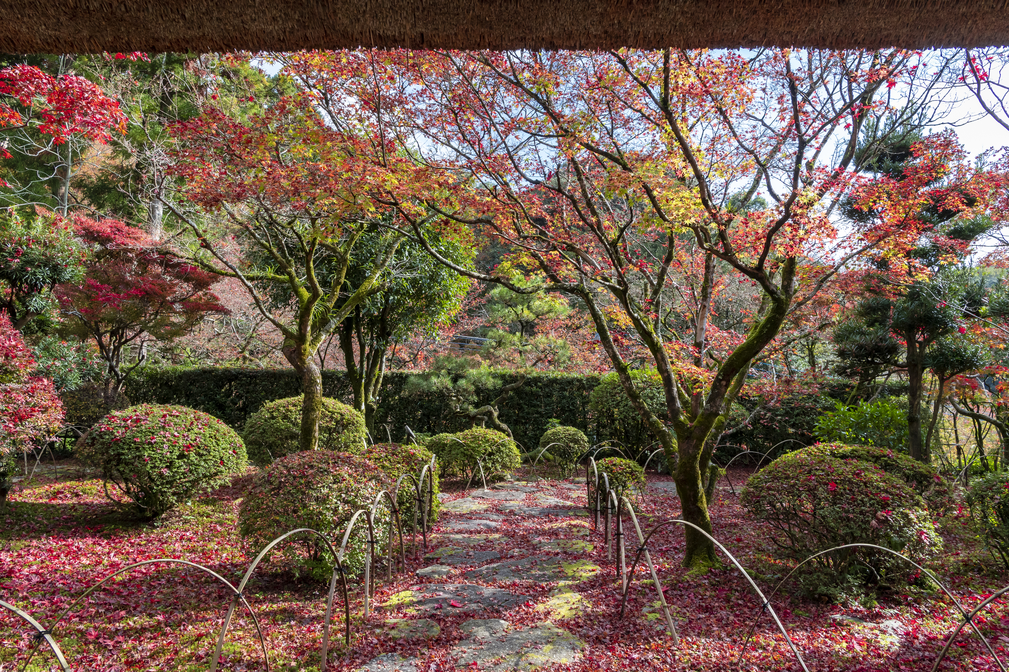 画像:九年庵の写真