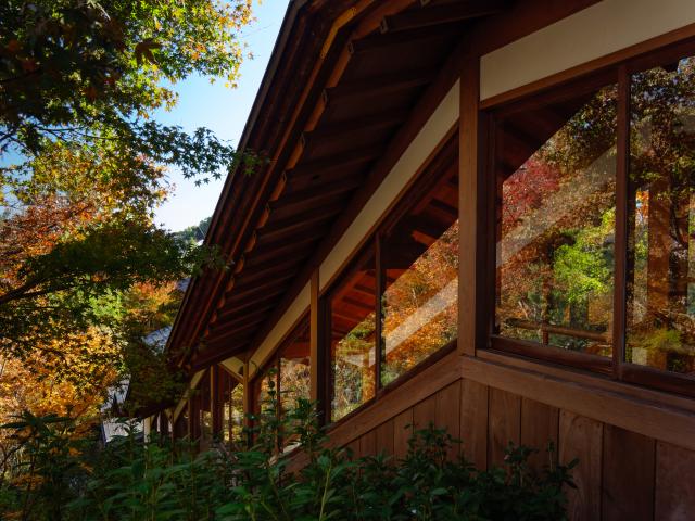 写真：高野寺