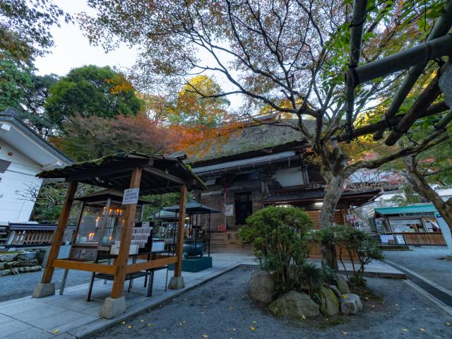 写真：大興善寺