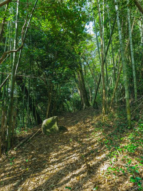 写真；須古城跡