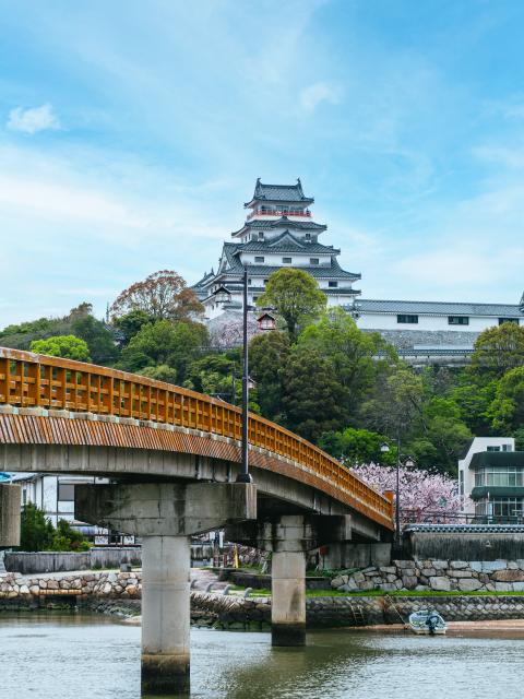 写真：唐津城（桜）