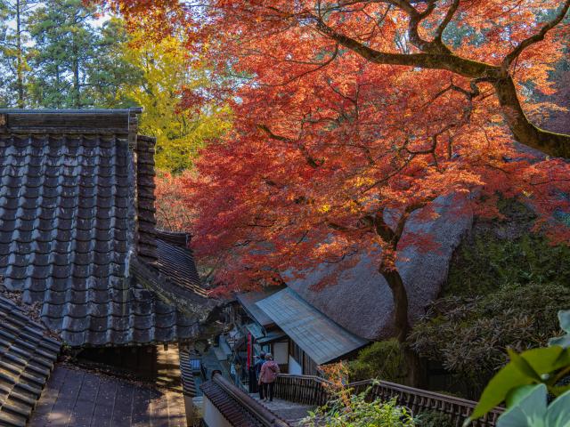 写真：大興善寺