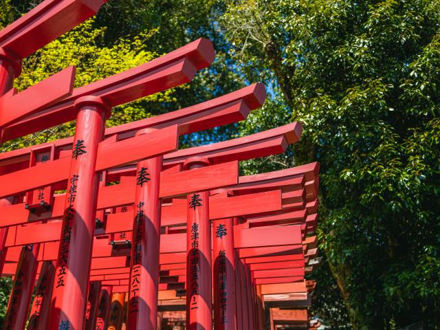 写真：祐徳稲荷神社（桜）