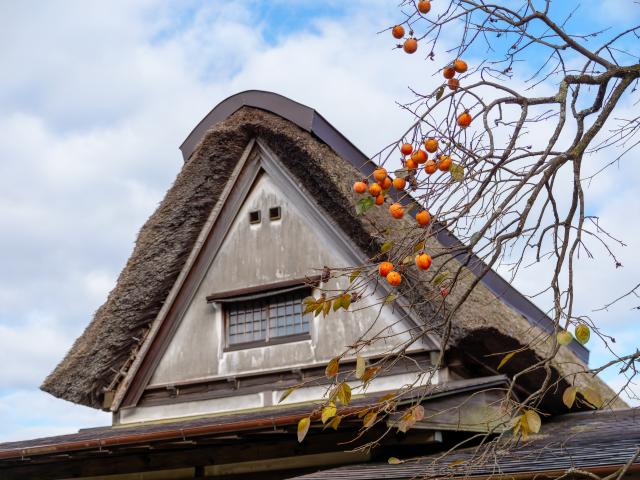 写真：秋の有田陶磁器まつり