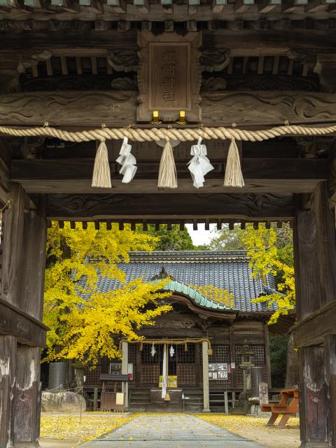 写真：綾部八幡神社