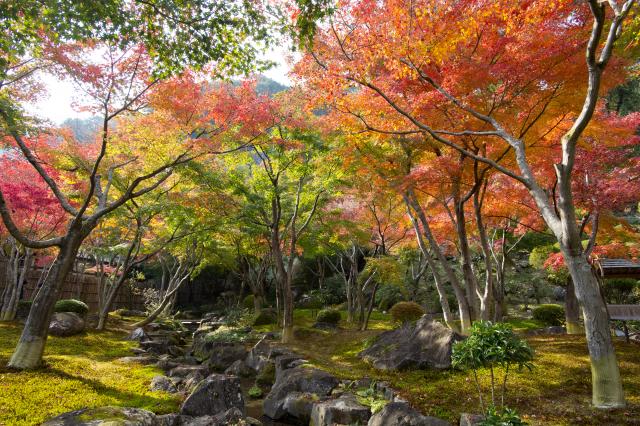 画像:祐徳稲荷神社の写真