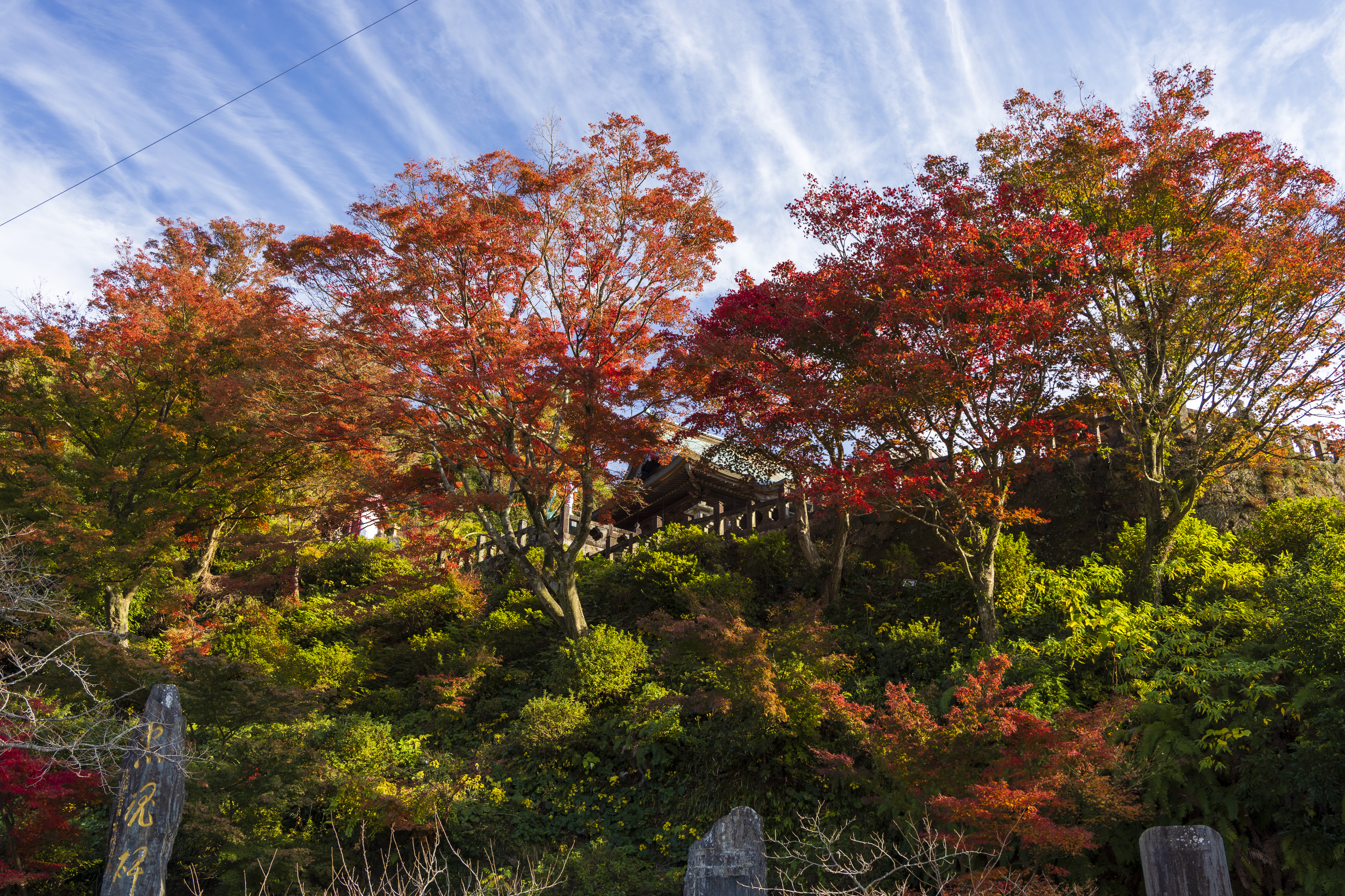 画像:陶山神社の写真