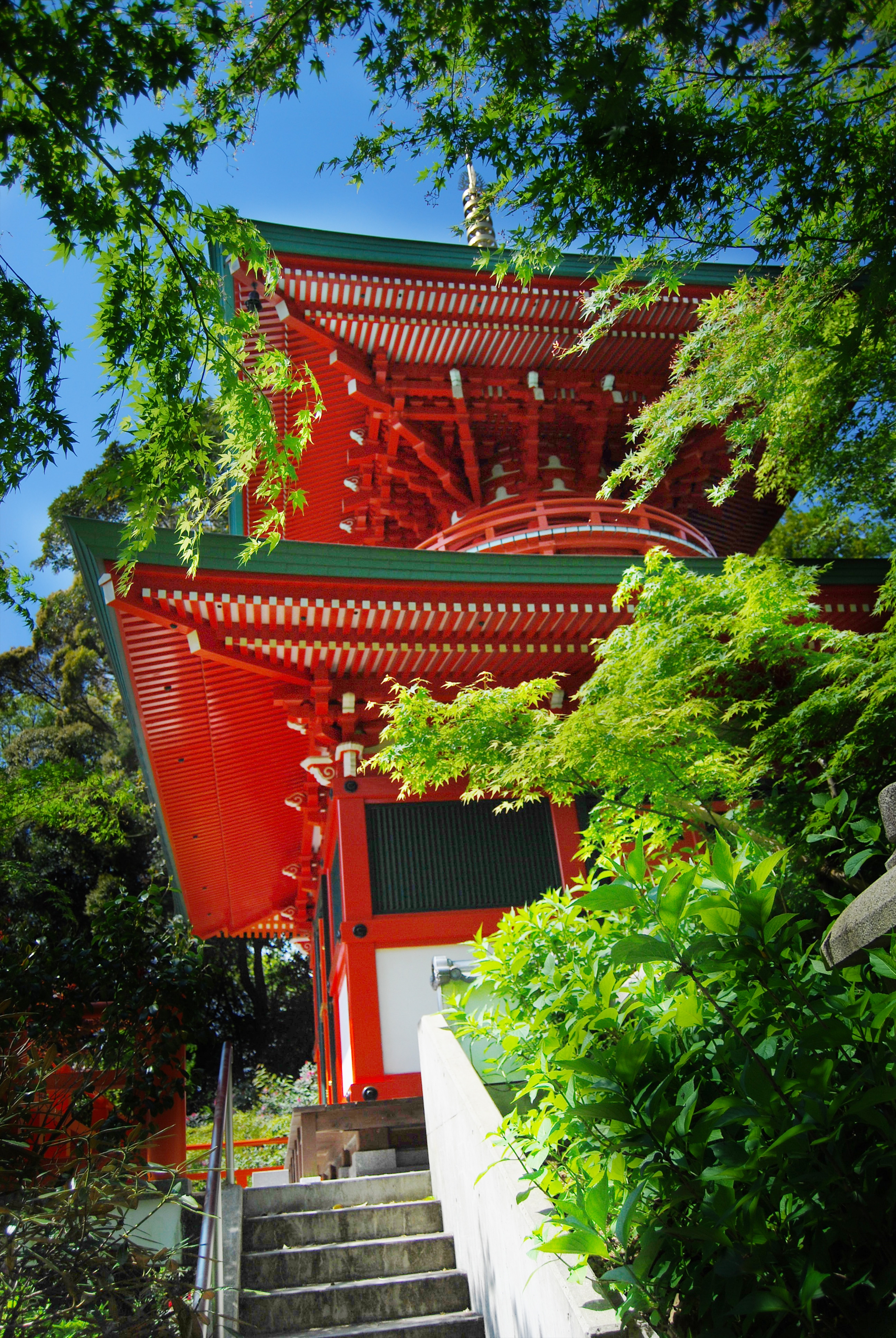 画像:高野寺の写真