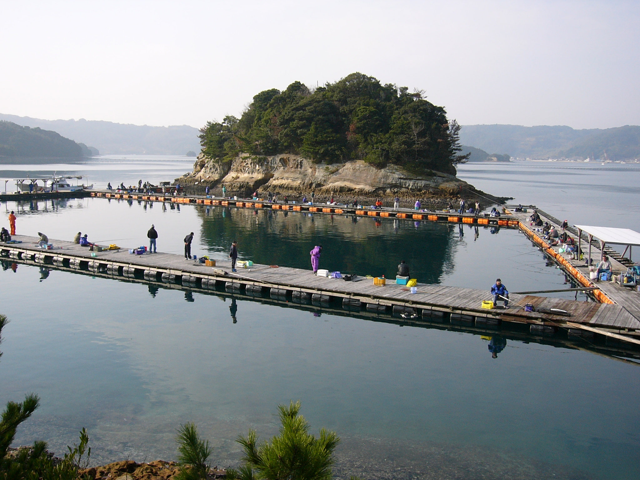 画像:仮屋湾遊漁センターの写真