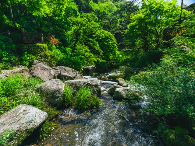 写真：見帰りの滝