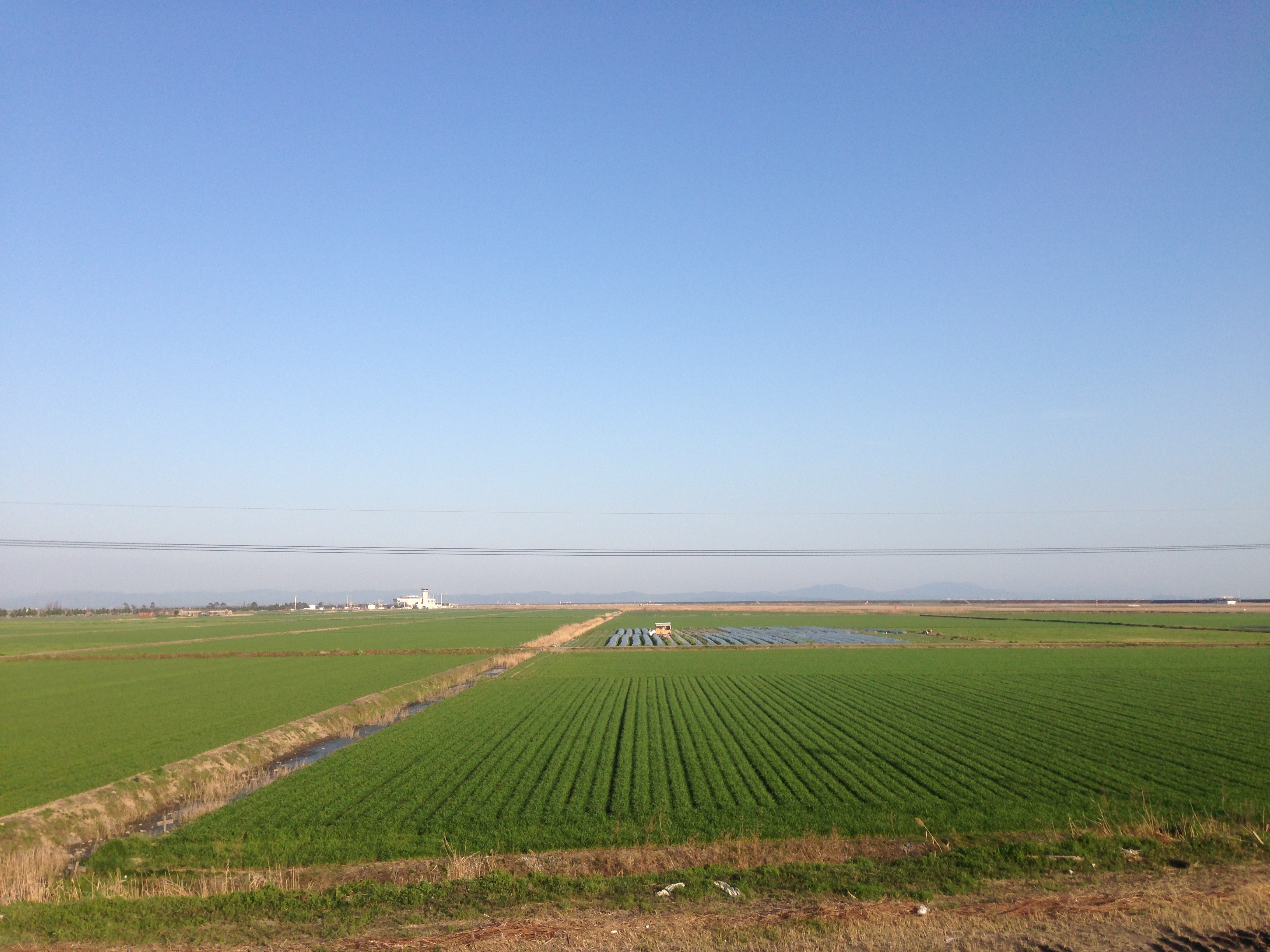 画像:佐賀の田園風景の写真