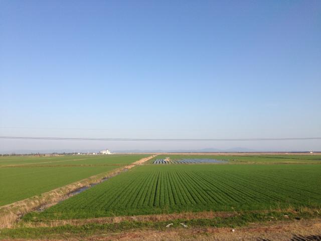 画像:佐賀の田園風景の写真