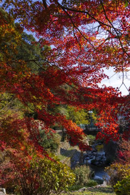 画像:清水の滝の写真