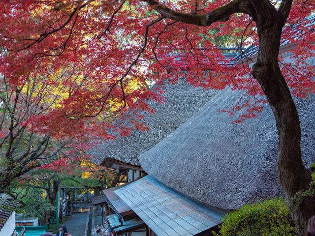 写真：大興善寺