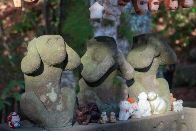 写真：仁比山神社