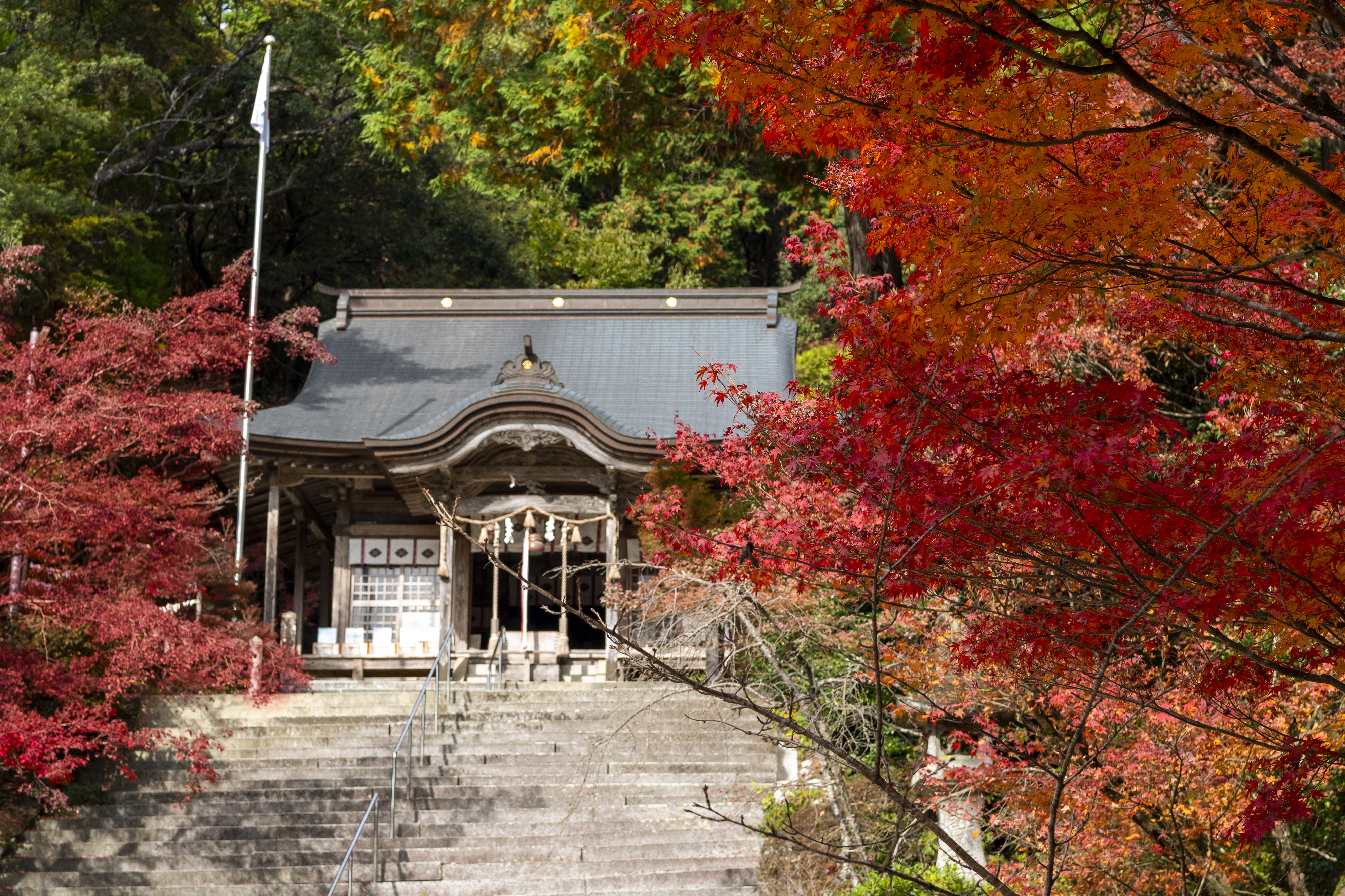 画像:仁比山神社の写真