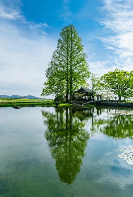 写真；縫ノ池