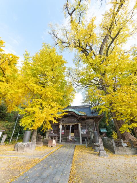 写真：綾部八幡神社