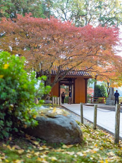 写真：大興善寺