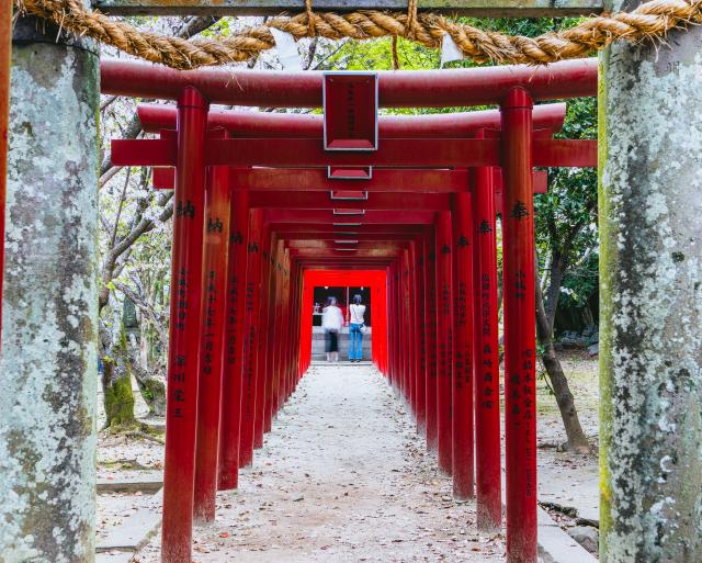 写真：小城公園(桜)