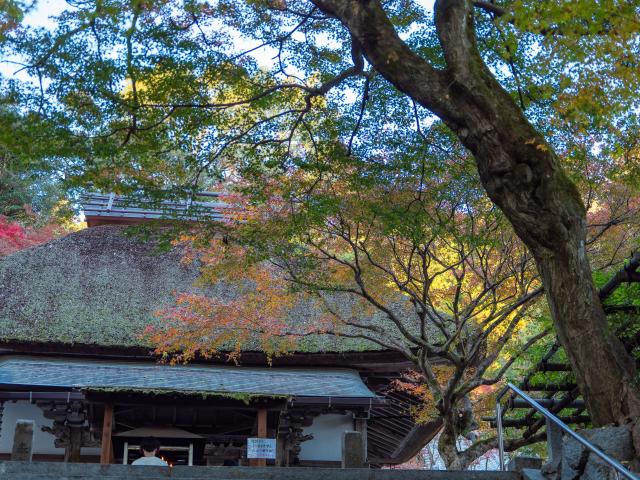 写真：大興善寺