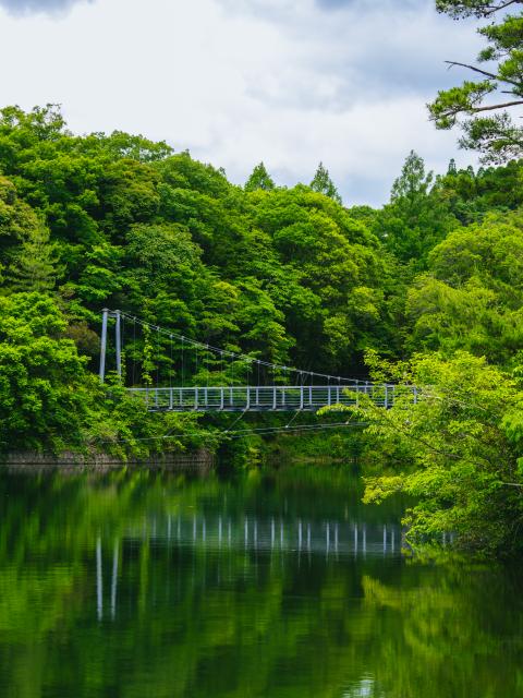 写真：レイクサイド北山