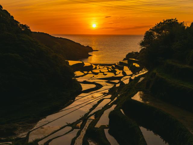 写真：浜野浦の棚田