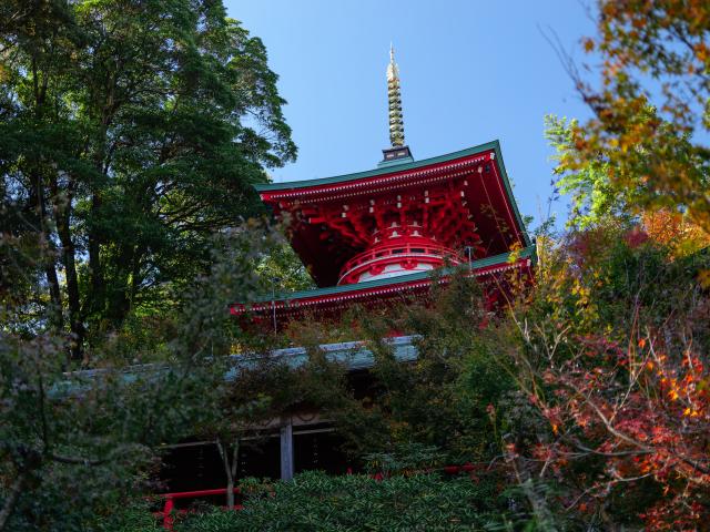 写真：高野寺