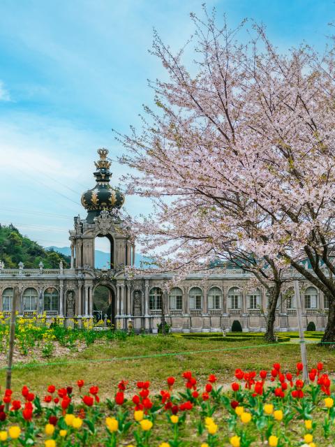 写真：有田ポーセリンパーク（桜）