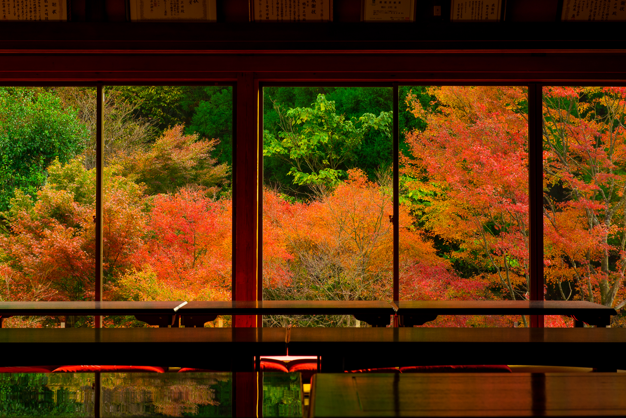 画像:環境芸術の森の写真