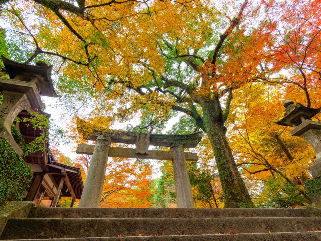 写真：仁比山神社