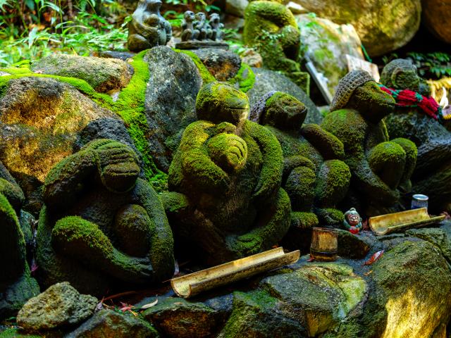 写真：仁比山神社