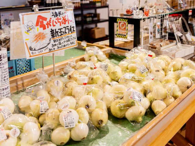 写真：道の駅しろいし