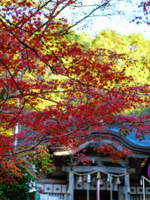 写真：仁比山神社