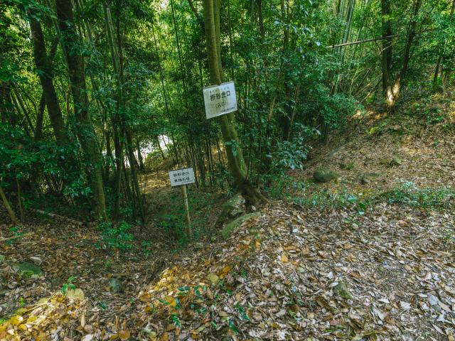 写真；須古城跡