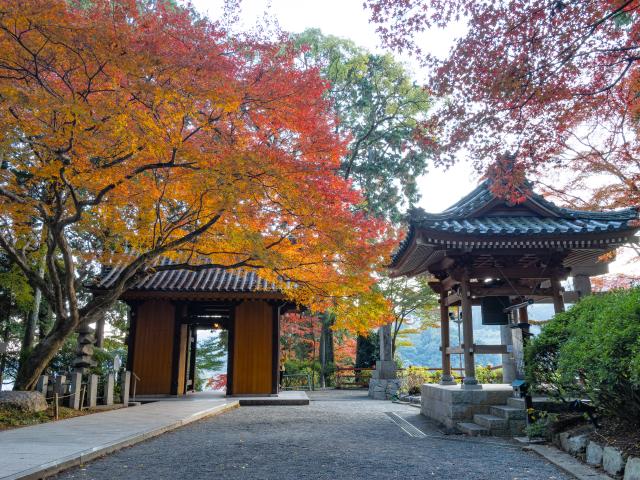 写真：大興善寺