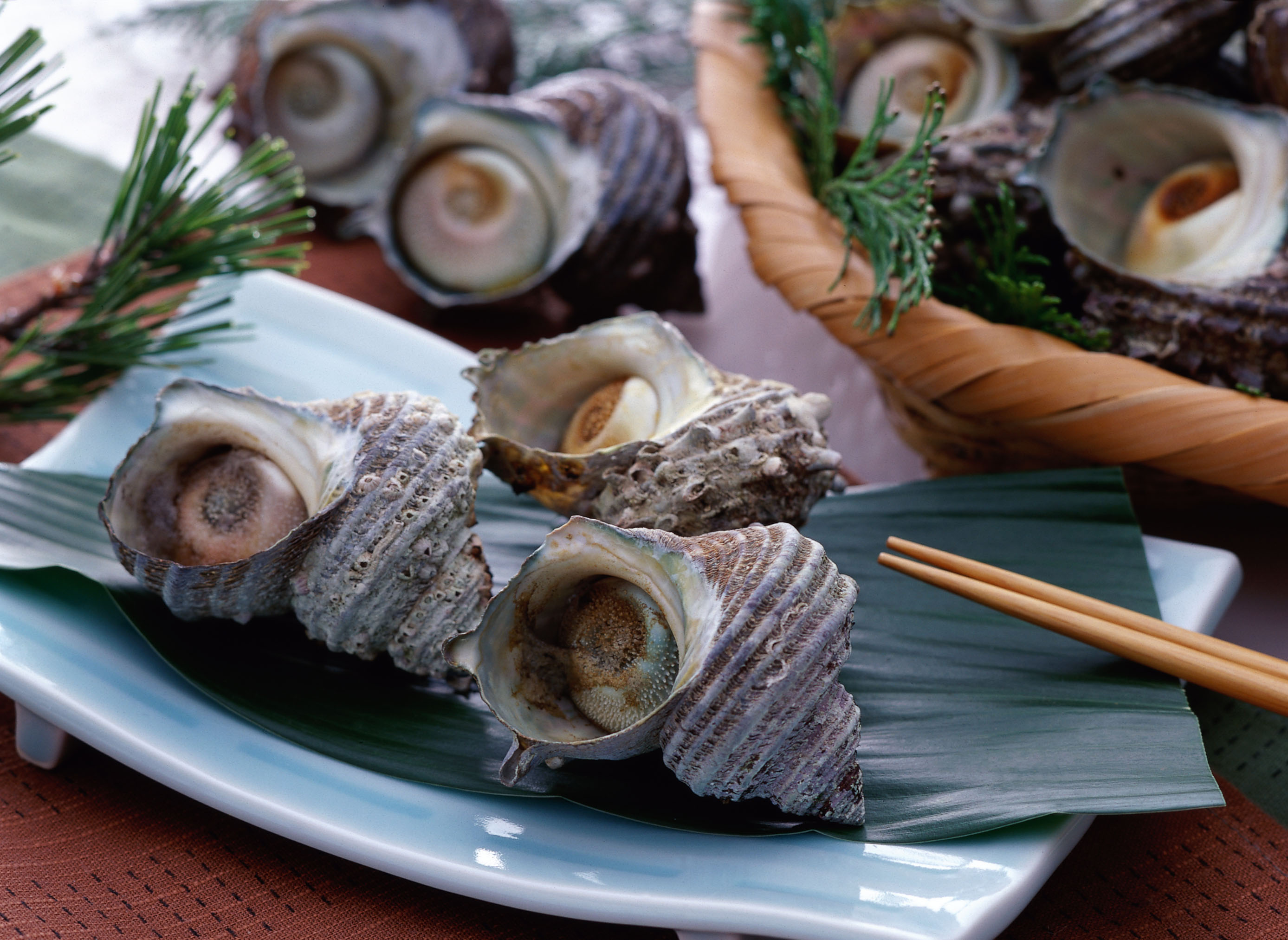 画像:波戸岬のサザエの壷焼きの写真