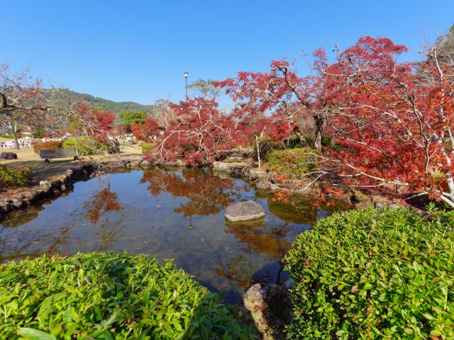 写真：西渓公園