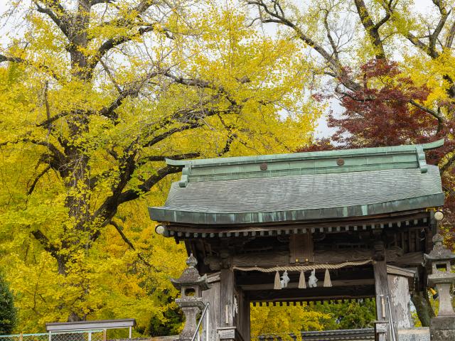 写真：綾部八幡神社