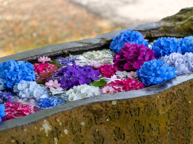 写真：福母八幡宮