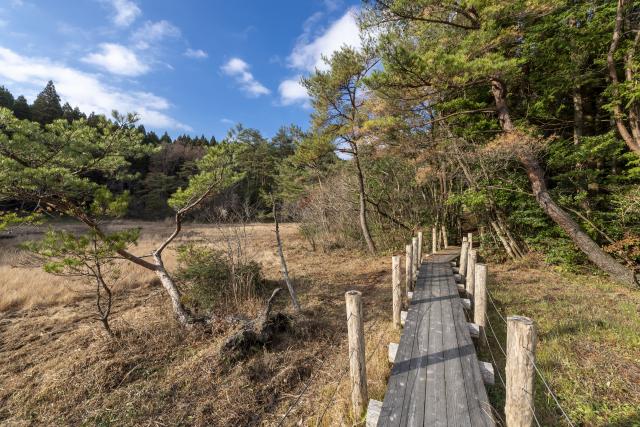 画像:樫原湿原の写真