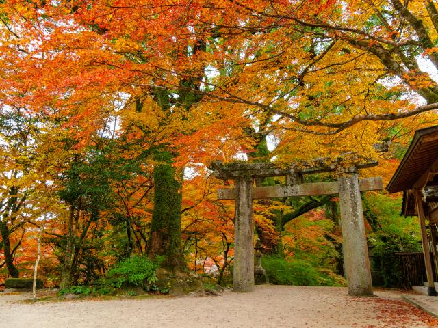 写真：仁比山神社