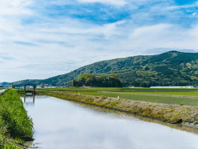 写真：須古城跡