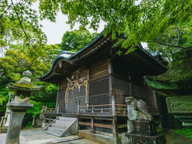 写真：須賀神社